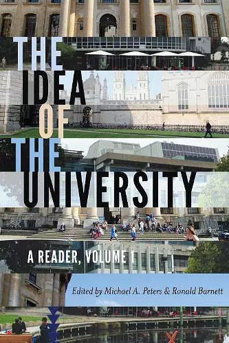 The Idea of the University cover