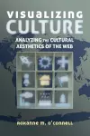 Visualizing Culture cover