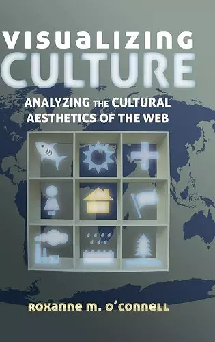 Visualizing Culture cover