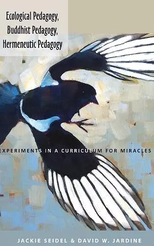 Ecological Pedagogy, Buddhist Pedagogy, Hermeneutic Pedagogy cover