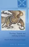 Theology, Tragedy, and Suffering in Nature cover