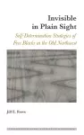 Invisible in Plain Sight cover