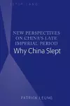 New Perspectives on China’s Late Imperial Period cover