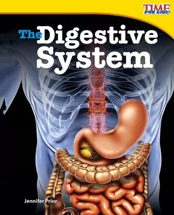 The Digestive System cover