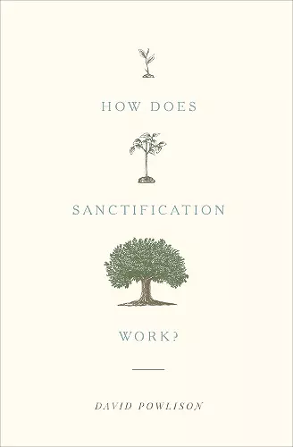 How Does Sanctification Work? cover