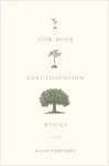 How Does Sanctification Work? cover