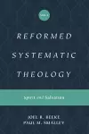 Reformed Systematic Theology, Volume 3 cover