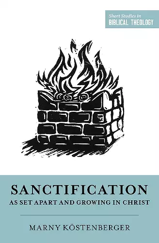 Sanctification as Set Apart and Growing in Christ cover