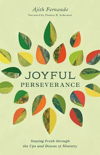 Joyful Perseverance cover