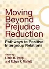 Moving Beyond Prejudice Reduction cover
