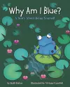 Why Am I Blue? cover