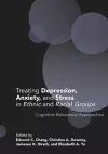 Treating Depression, Anxiety, and Stress in Ethnic and Racial Groups cover