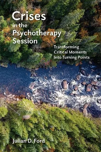 Crises in the Psychotherapy Session cover