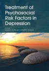 Treatment of Psychosocial Risk Factors in Depression cover