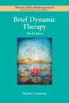 Brief Dynamic Therapy cover