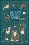 Aesop's Illustrated Fables (Barnes & Noble Collectible Editions) cover