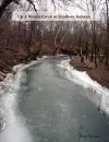 Up a Winter Creek in Southern Indiana cover