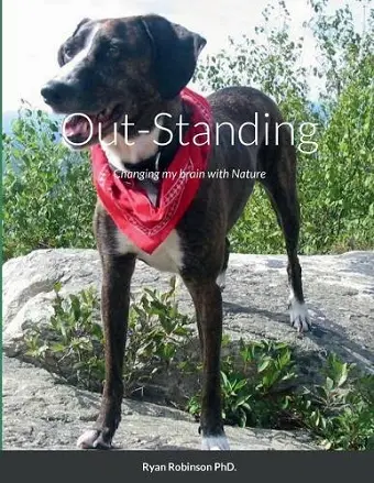 Out Standing cover