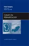 Fetal Surgery, An Issue of Clinics in Perinatology cover