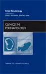 Fetal Neurology, An Issue of Clinics in Perinatology cover