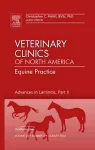 Advances in Laminitis, Part II, An Issue of Veterinary Clinics: Equine Practice cover