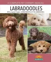 Labradoodles cover