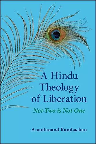 A Hindu Theology of Liberation cover