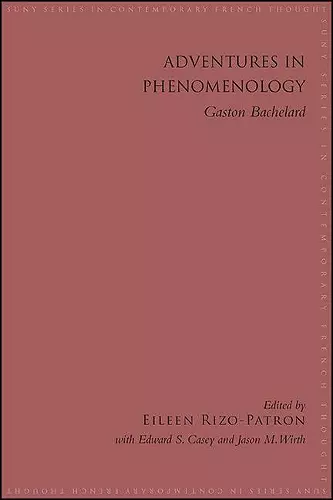 Adventures in Phenomenology cover