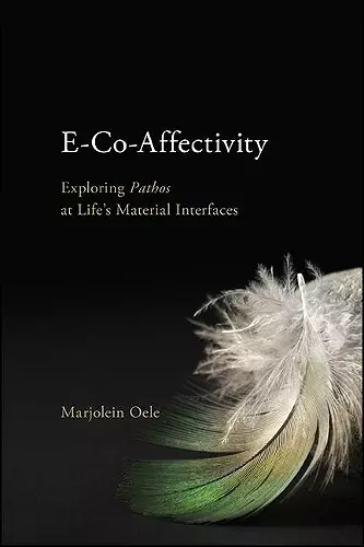 E-Co-Affectivity cover