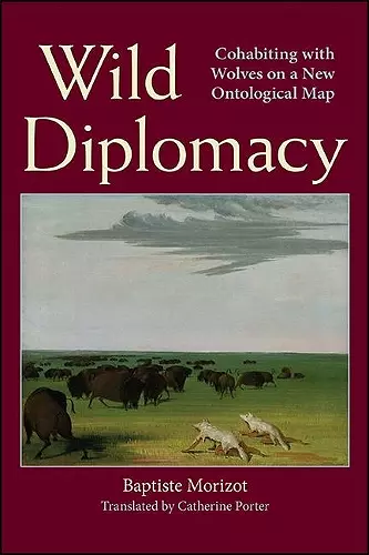 Wild Diplomacy cover