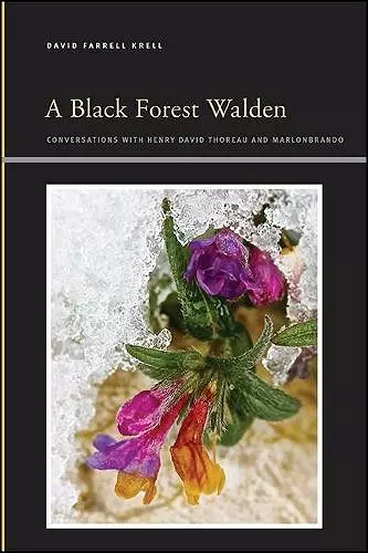 A Black Forest Walden cover