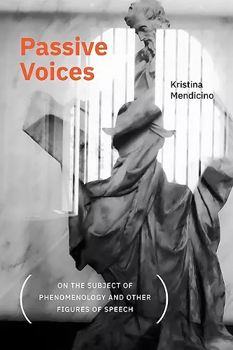 Passive Voices (On the Subject of Phenomenology and Other Figures of Speech) cover