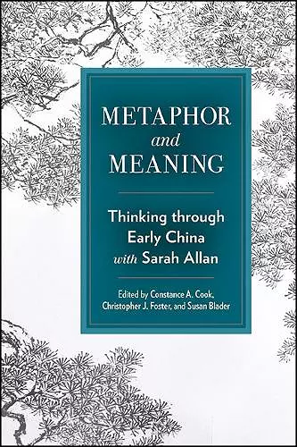 Metaphor and Meaning cover