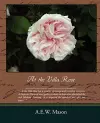 At the Villa Rose cover