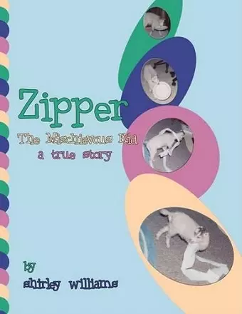 Zipper - The Mischievous Kid cover