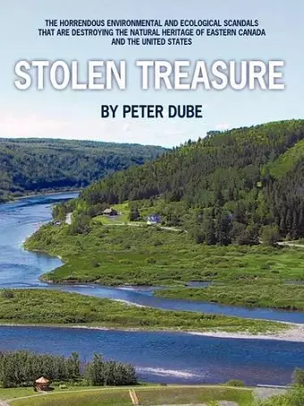 Stolen Treasure cover