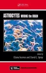 Astrocytes cover