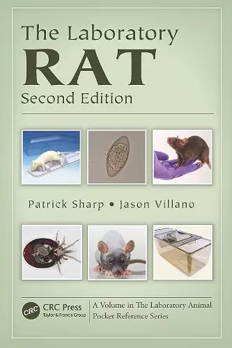 The Laboratory Rat cover