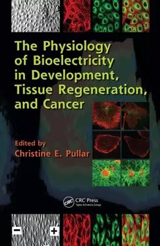 The Physiology of Bioelectricity in Development, Tissue Regeneration and Cancer cover