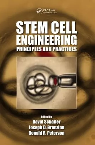 Stem Cell Engineering cover