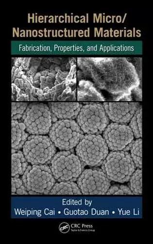 Hierarchical Micro/Nanostructured Materials cover