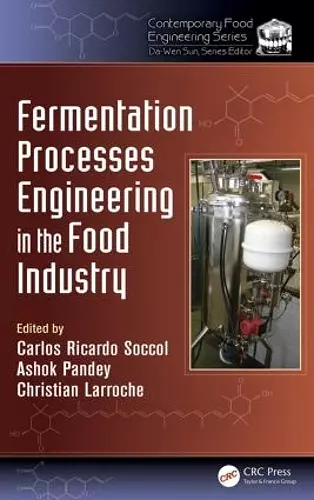 Fermentation Processes Engineering in the Food Industry cover