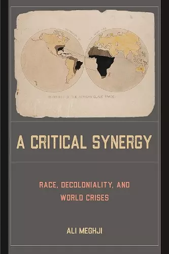 A Critical Synergy cover