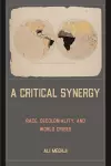 A Critical Synergy cover