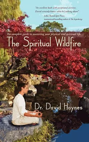 The Spiritual Wildfire cover