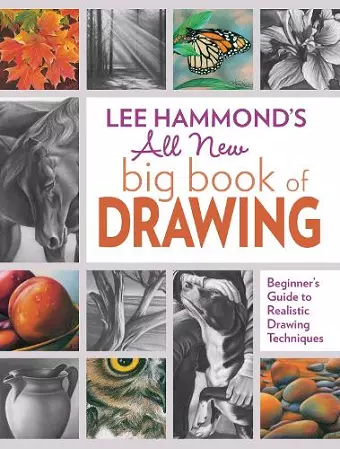 Lee Hammond's All New Big Book of Drawing cover