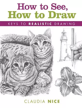 How to See, How to Draw [new-in-paperback] cover