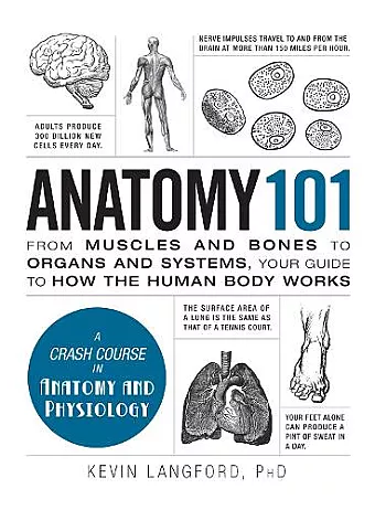Anatomy 101 cover