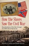 How the Slaves Saw the Civil War cover