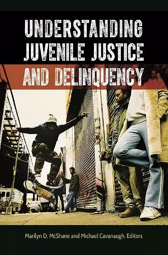 Understanding Juvenile Justice and Delinquency cover
